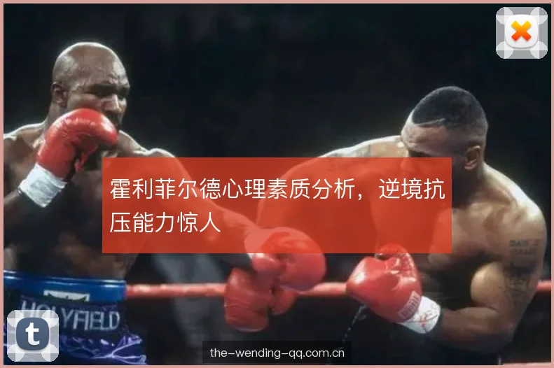 霍利菲尔德心理素质分析，逆境抗压能力惊人